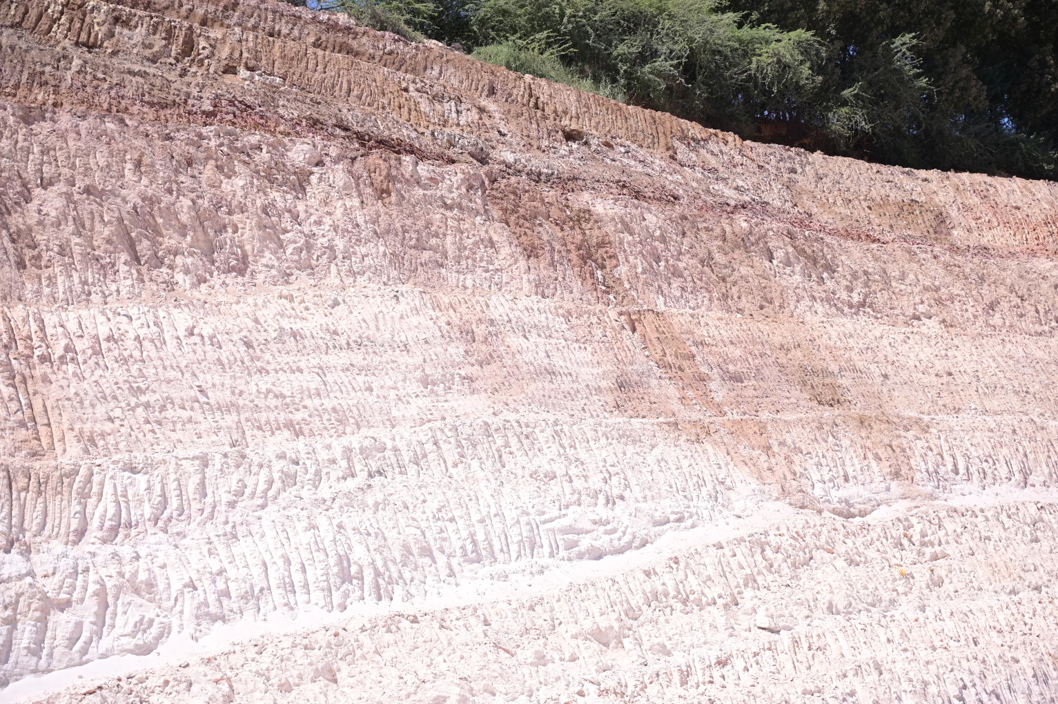 Chamotte Shivmotte LF